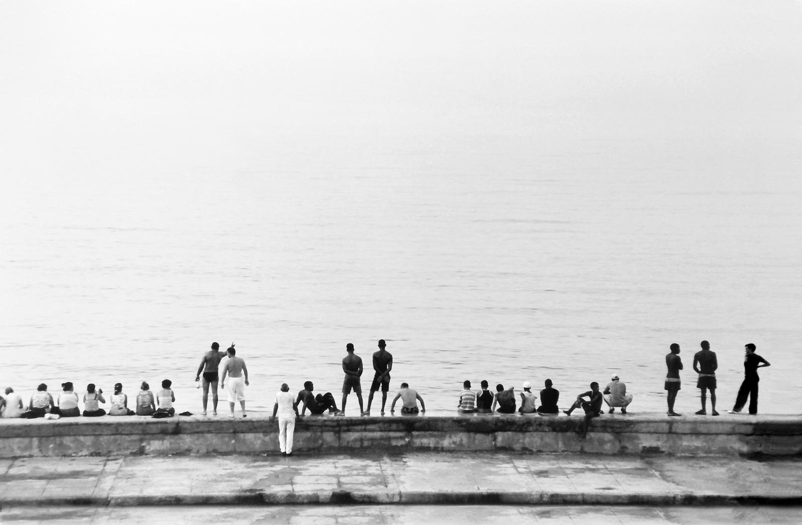 nienke van look | ontwerp  | illustratie | fotografie